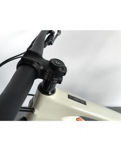 Santa Cruz Tallboy 4 CC 29 Sram Eagle GX 12v Taglia XL, Ivory (USATO - TEST)