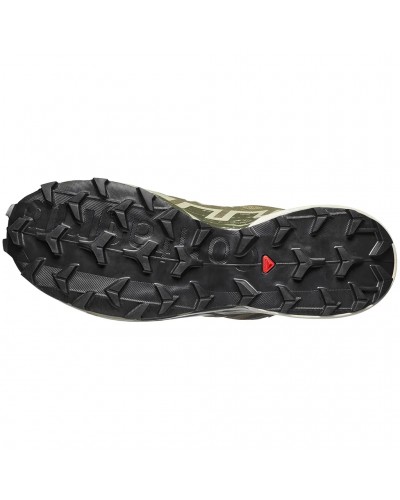 Salomon Speedcross 6 GTX Gore-Tex Scarpe Trail Running Uomo, Aloe/Aspargus Green/Grape Leaf