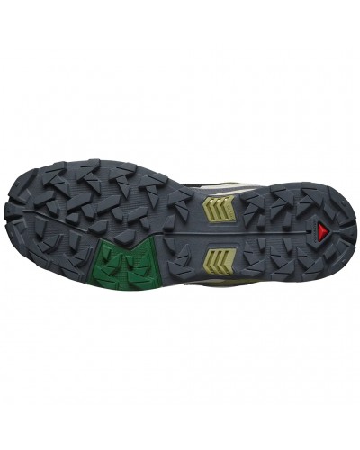 Salomon X Ultra 5 Scarpe Trekking Uomo, Aloe/Asphalt/Eden