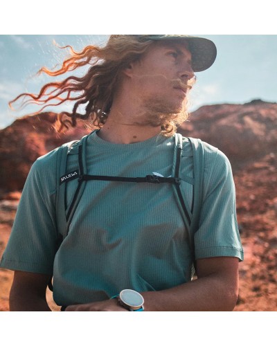 Salewa Pedroc Dry'ton Light Men's T-Shirt, Willow