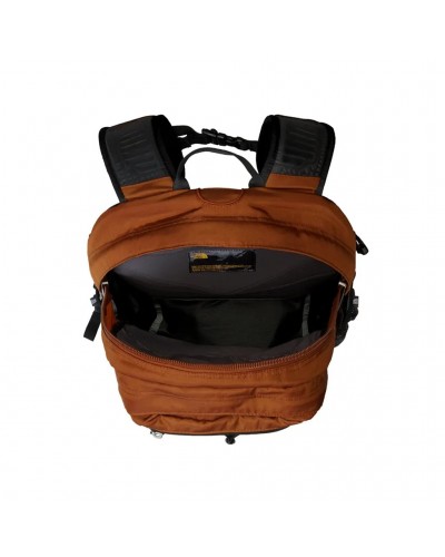 The North Face Borealis Classic Backpack 29 Liters, Sepia/Sepia