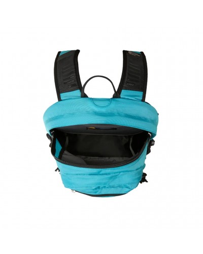 The North Face Borealis Classic Backpack 29 Liters, River Ice/Lava Red