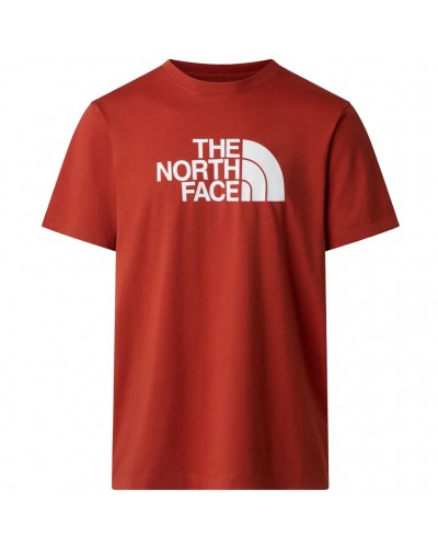 The North Face Evolution Half Dome Regular Men's T-Shirt, Iron Clay