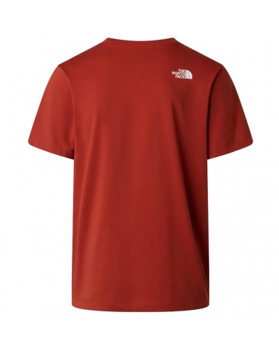The North Face Evolution Half Dome Regular Men's T-Shirt, Iron Clay