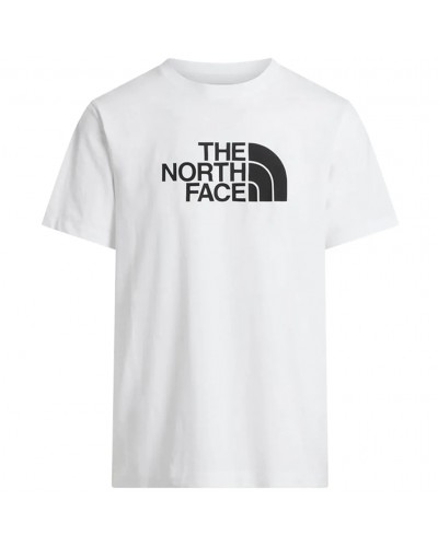 The North Face Evolution Half Dome Regular Men's T-Shirt, TNF White/TNF Black