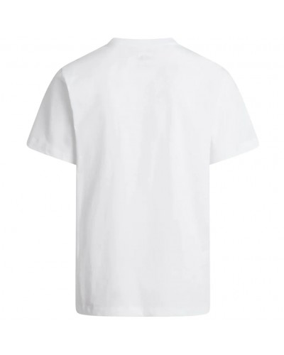 The North Face Evolution Simple Dome Regular Men's T-Shirt, TNF White