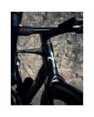 Wilier Filante SLR, Carbonio Iridium Lucido