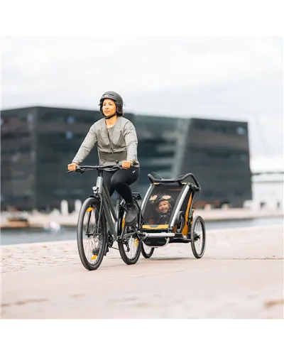Thule Bike Trailer for Kids Chariot Sport 2 - 1 Seat, Natural Gold