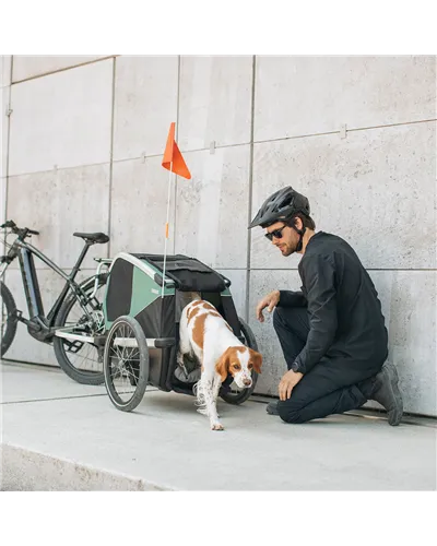 Thule Bike Trailer for Dogs Bexey - Size M, Hazy Green