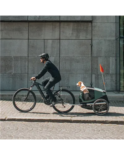 Thule Bike Trailer for Dogs Bexey - Size M, Hazy Green