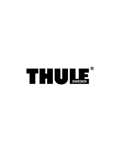 Thule Wheel Rear 20" 24 Spokes Disc Brake for Chariot Cross 2
