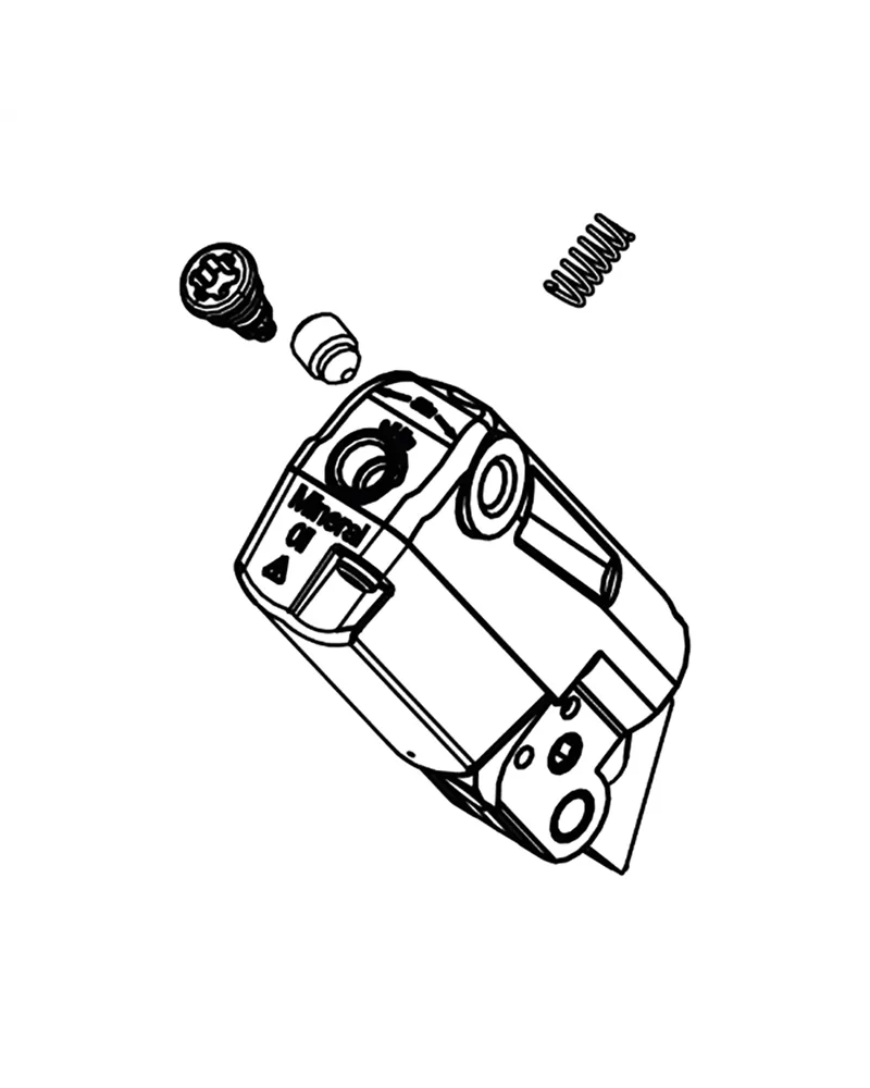 Campagnolo Pompante e Molla (Senza Vite Guaina) per Freni Idraulici Ergopower Ekar 13V, Super Record 12V, Record 12V, Chorus 12V