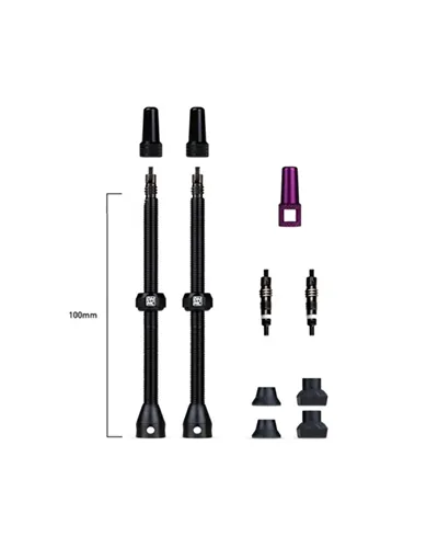 Dynamic Bike Care Pair of Tubeless Valves Barkeeper - 100 mm, Black