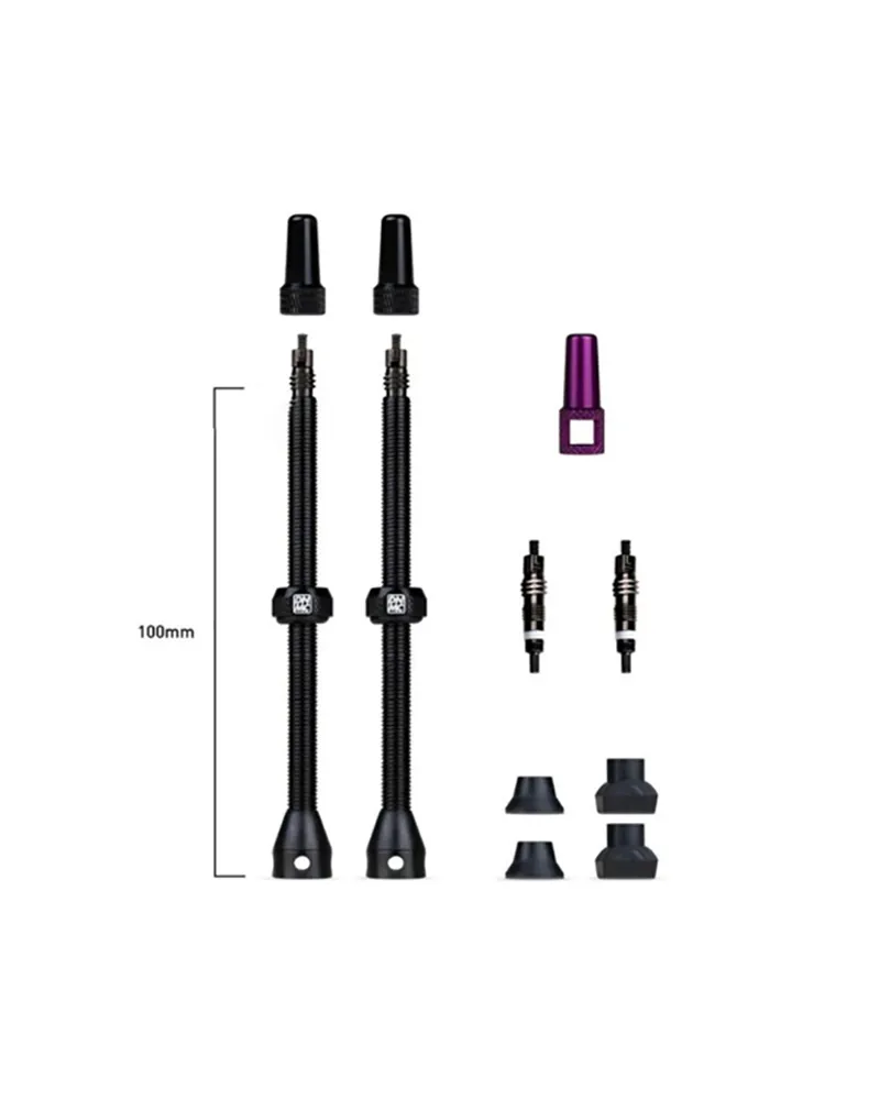 Tubeless Valve