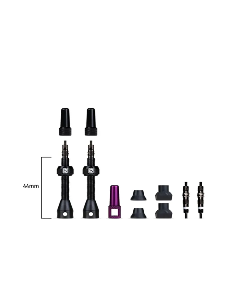 Tubeless Valve