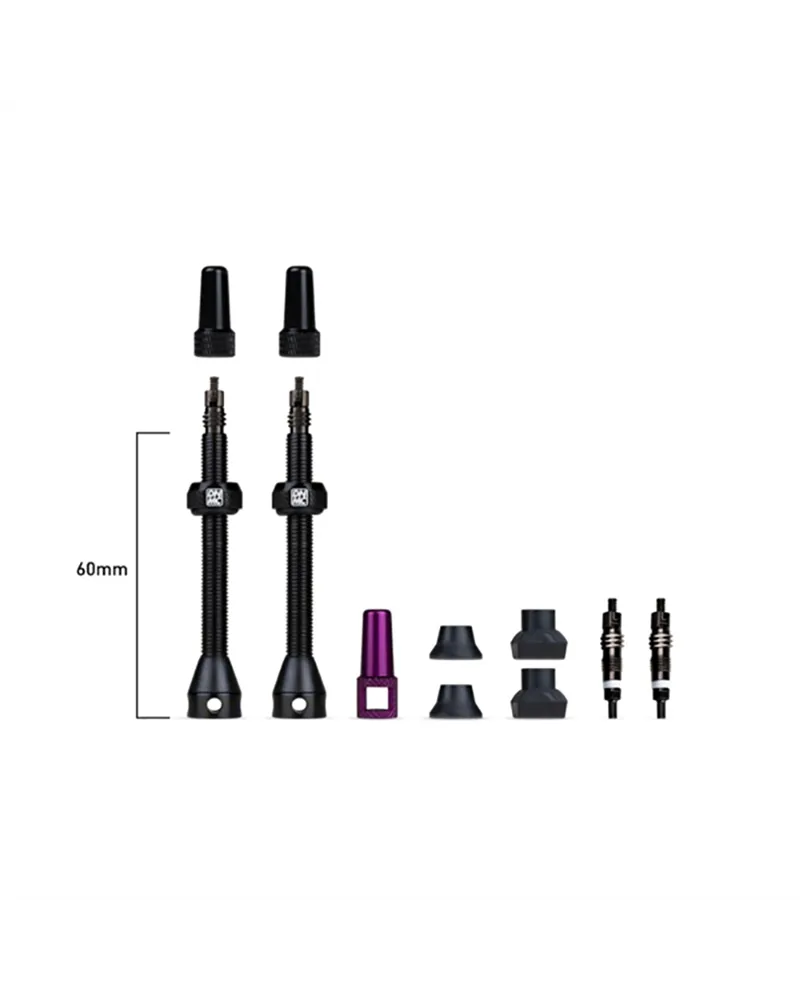Tubeless Valve