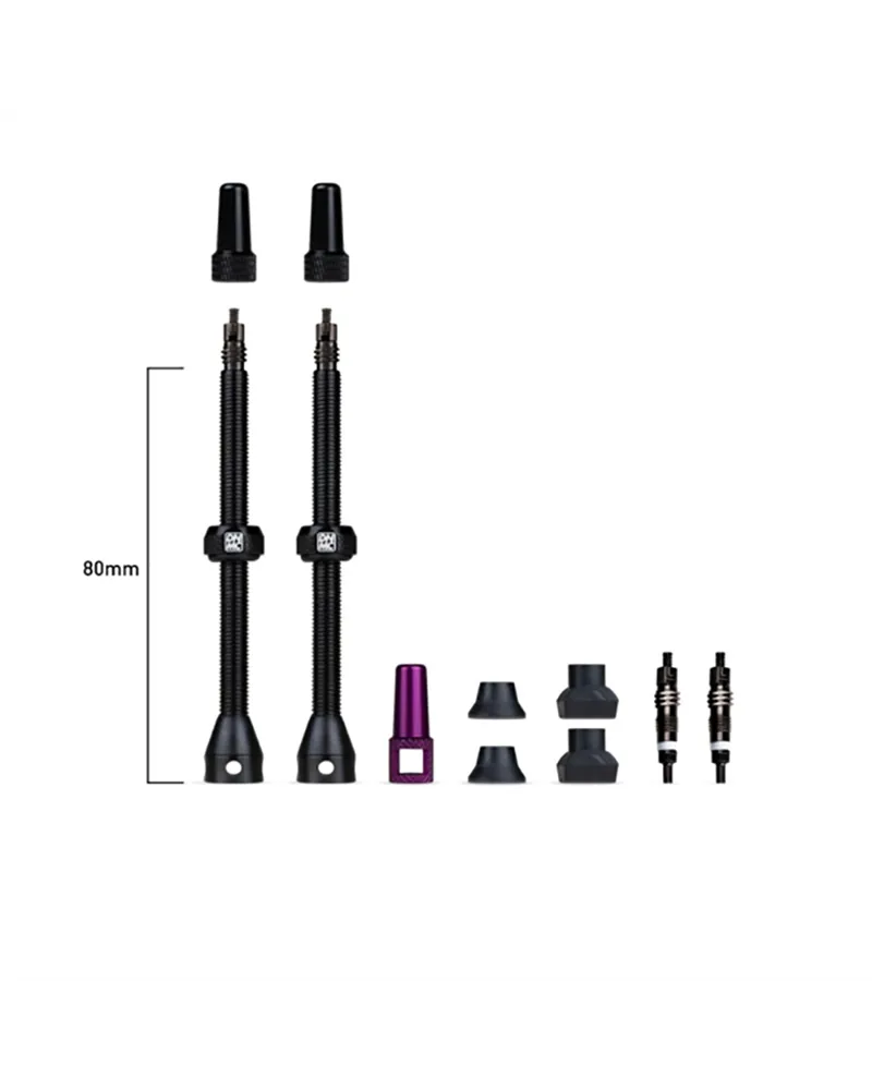 Tubeless Valve