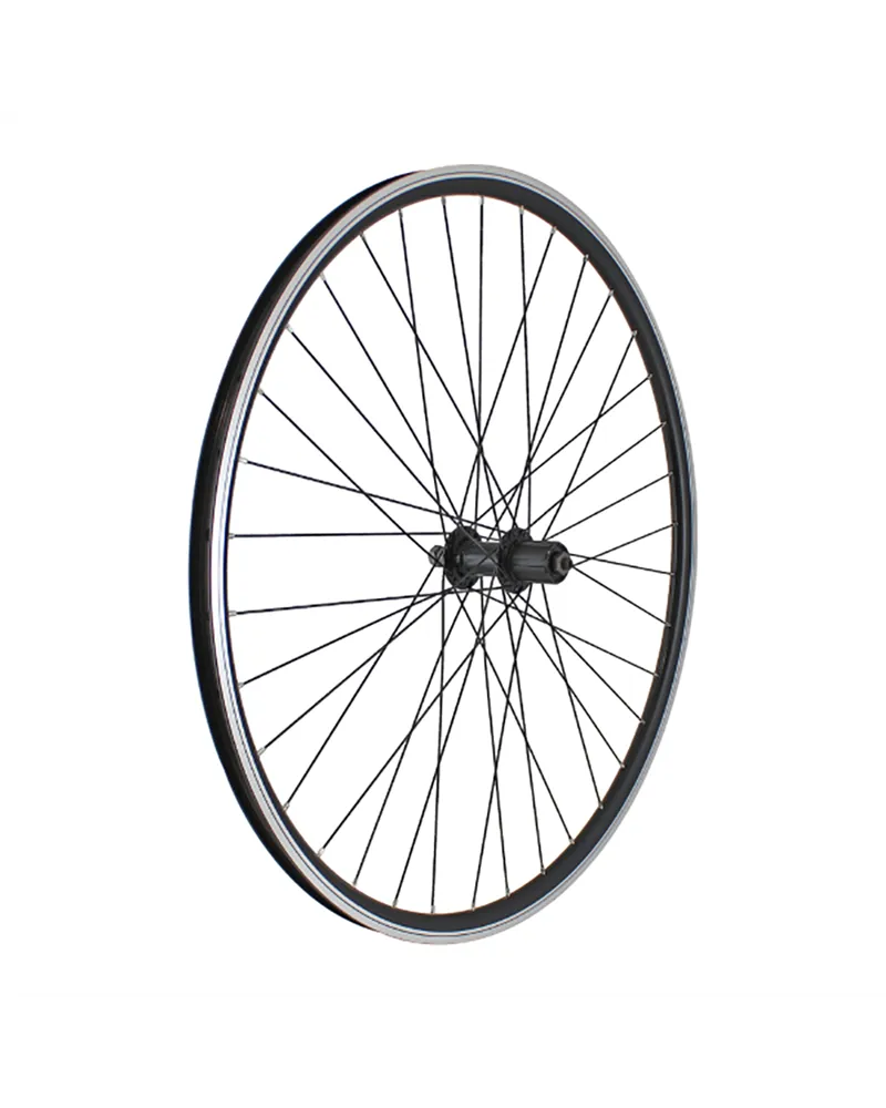 MTB