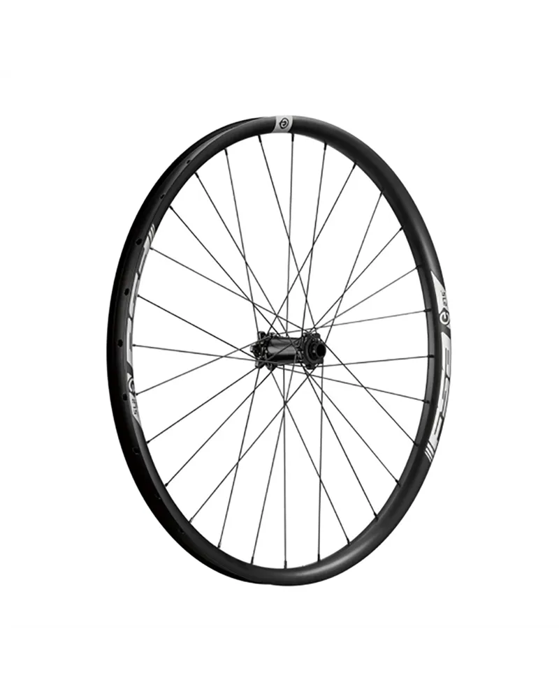 MTB