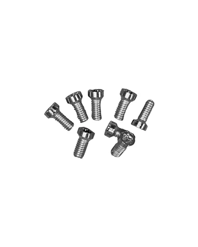 Leonardi Racing Kit of 4 Torx Screws for Mounting 8-holes Chainring - M4X10