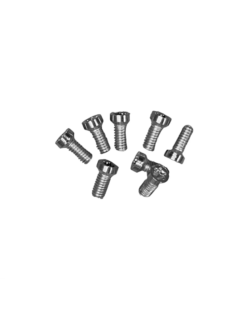 Leonardi Racing Kit of 4 Torx Screws for Mounting 8-holes Chainring - M4X10