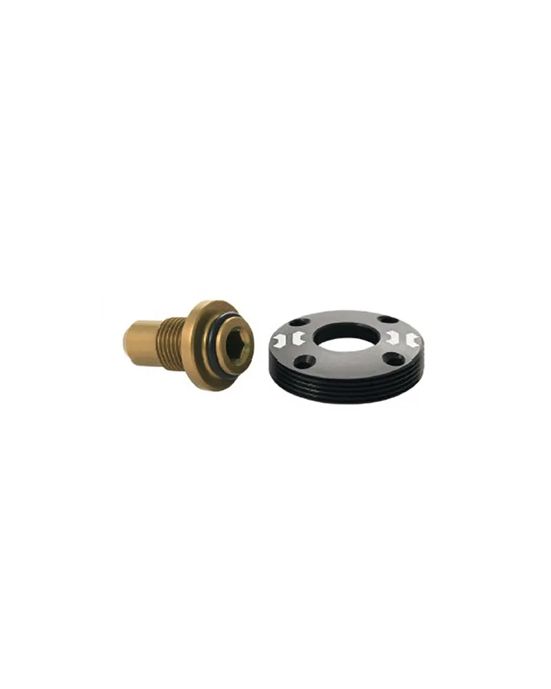 Leonardi Racing Lefty Hub Screw and Cover