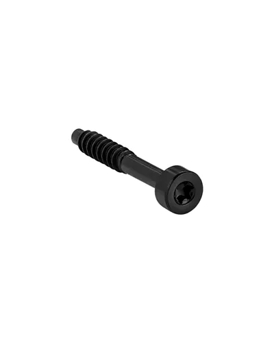 Magura Master Clamp Fixing Screws Gustav/Louise Elite