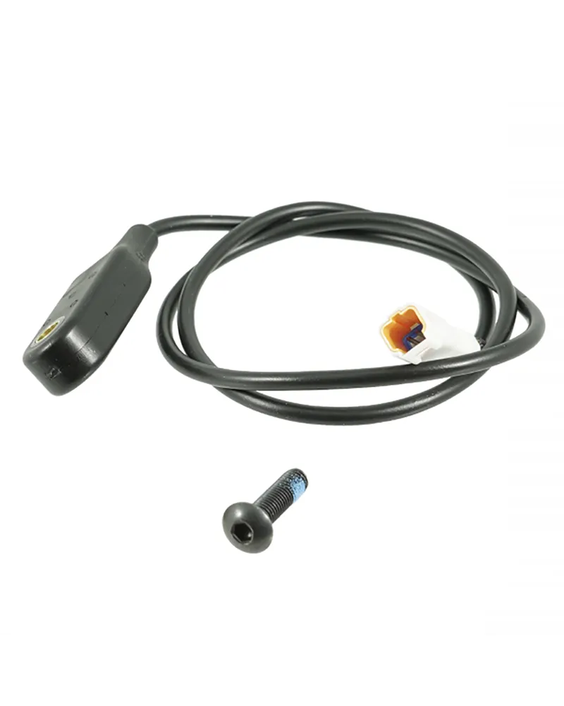 Batterie - Ricambi e-Bike