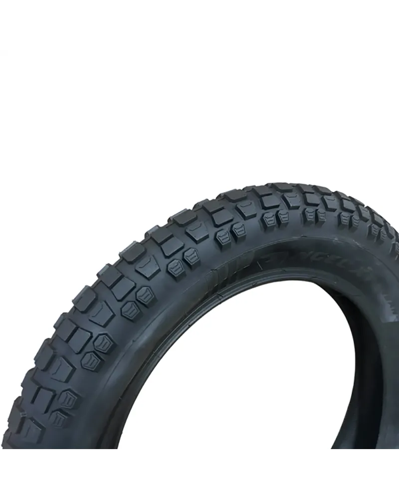 Fat Bike