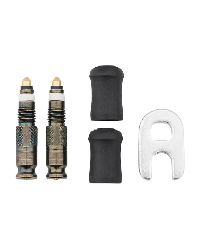 Tubeless Valve