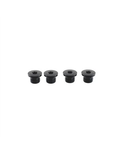 Campagnolo Bolts Kit for Chainring Ekar GT 13S