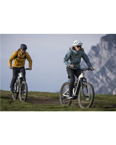Amflow TL Carbon 27.5 TRP E.A.S.I.11v Avinox M2 - 800Wh e-Bike, Silica Beige