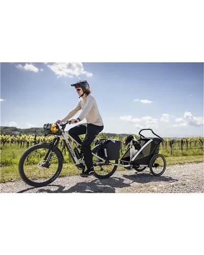 Amflow TL Carbon 27.5 TRP E.A.S.I.11v Avinox M2 - 800Wh e-Bike, Silica Beige