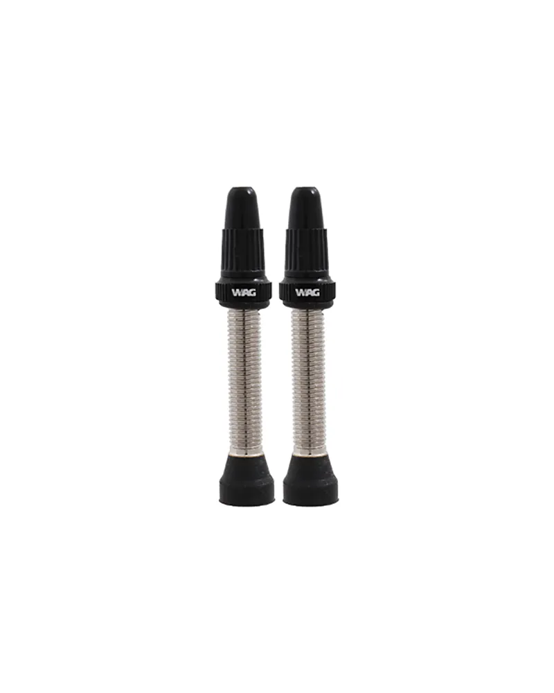 Tubeless Valve