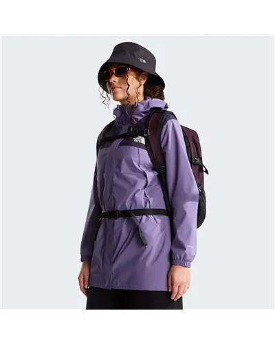The North Face Borealis Classic Backpack 29 Liters, Deep Burgundy/TNF Black/Lali Guran
