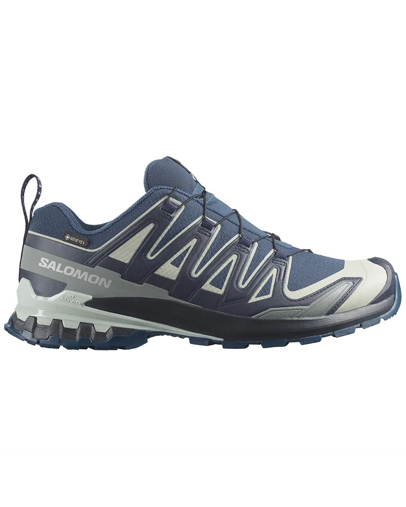 Salomon XA Pro 3D V9 GTX Gore-Tex Men's Trail Running Shoes, Spellbound/Maritime Blue/Wrought Iron
