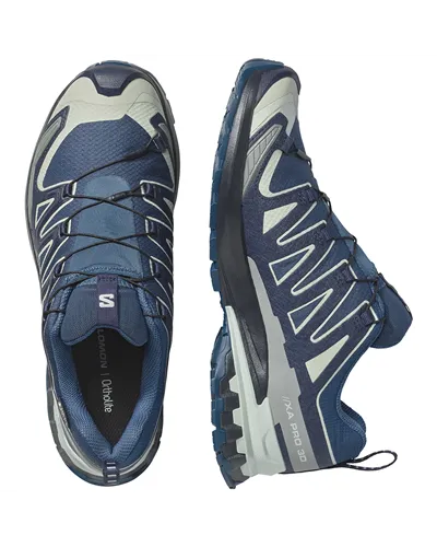 Salomon XA Pro 3D V9 GTX Gore-Tex Men's Trail Running Shoes, Spellbound/Maritime Blue/Wrought Iron