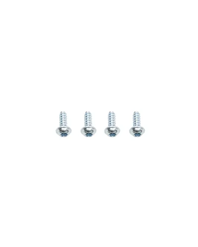 Petzl 4 Screws for Fast Buckle